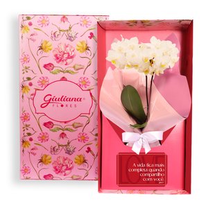 Imagem de Mini Orquídea Rara Branca Virtuosa no Box Romântico