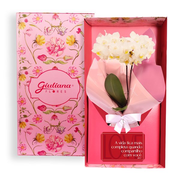 Mini Orquídea Rara Branca Virtuosa no Box Namorados