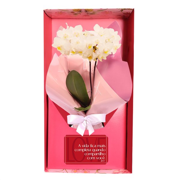 Mini Orquídea Rara Branca Virtuosa no Box Namorados