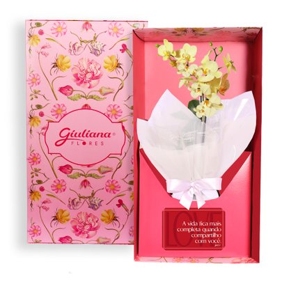 Mini Orquídea Rara Amarela Virtuosa no Box Namorados