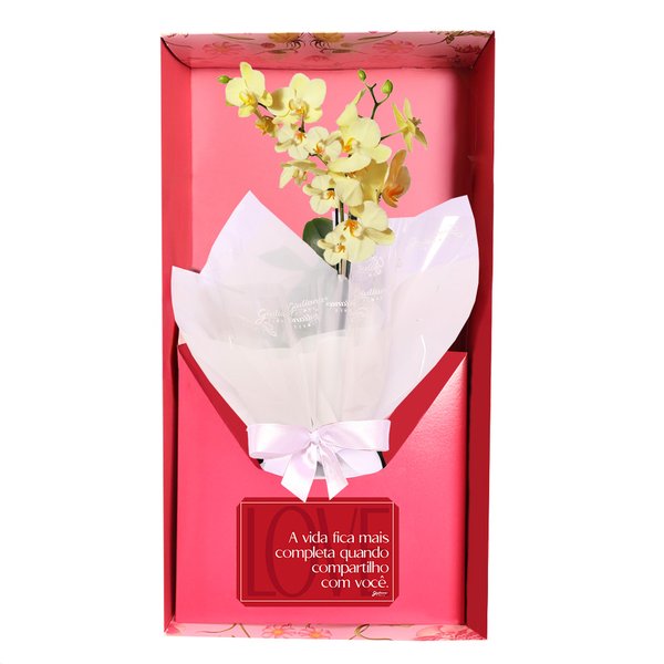 Mini Orquídea Rara Amarela Virtuosa no Box Namorados