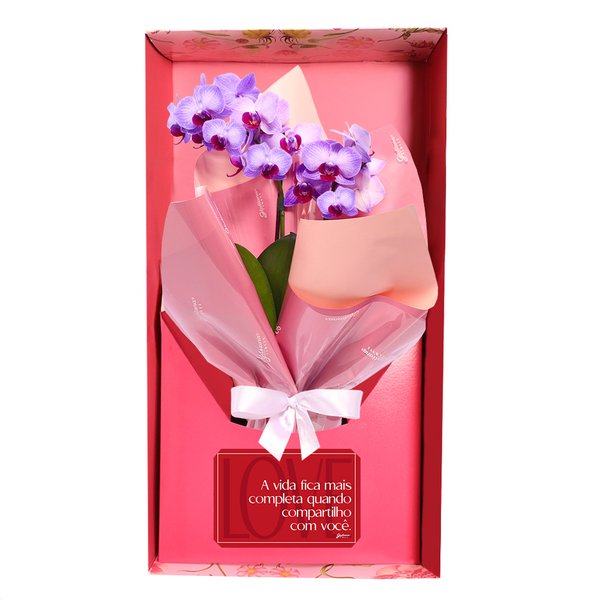 Mini Orquídea Rara Violeta Virtuosa no Box Namorados