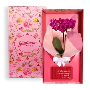 Imagem de Mini Orquídea Rara Lilás Virtuosa no Box Romântico