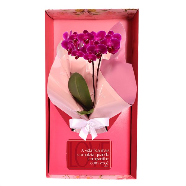 Mini Orquídea Rara Lilás Virtuosa no Box Namorados