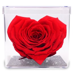 Imagem de Mini Box com Coração de Rosa Encantada Vermelha