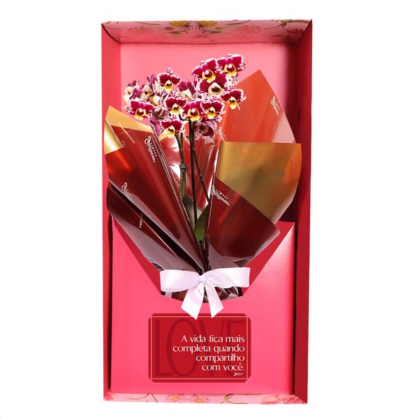 Mini Orquídea Rara Mesclada Virtuosa no Box Namorados