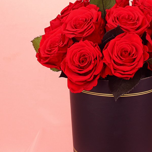 Rosas Encantadas Vermelhas no Box Giu