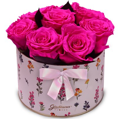 Lindas Rosas Encantadas Pink no Box