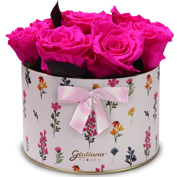 Lindas Rosas Encantadas Pink no Box