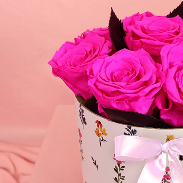 Lindas Rosas Encantadas Pink no Box