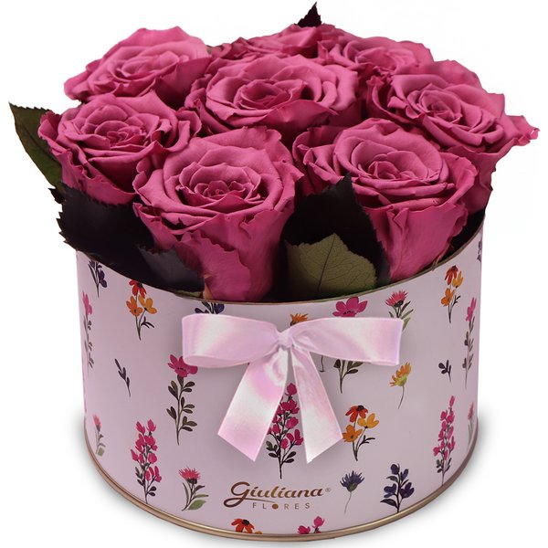 Lindas Rosas Encantadas Violeta no Box