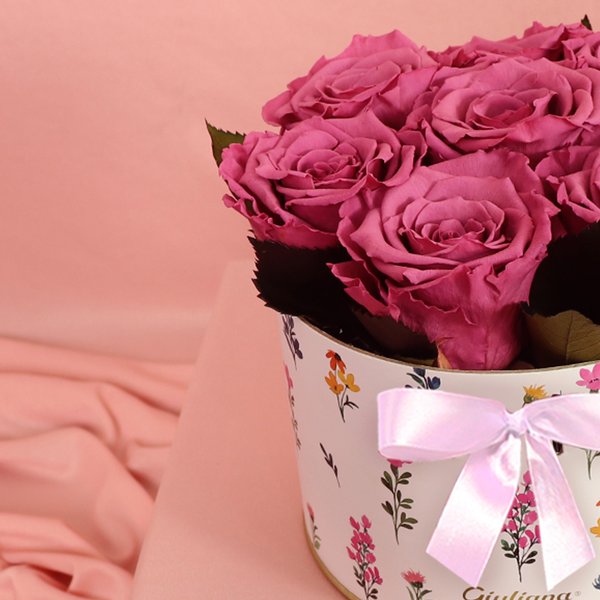 Lindas Rosas Encantadas Violeta no Box