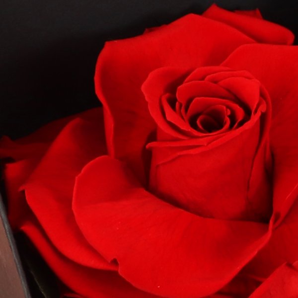 Caixa Premium Eu te Amo com Rosa Encantada