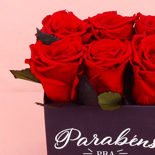 Rosas Encantadas e Parabéns pra Você