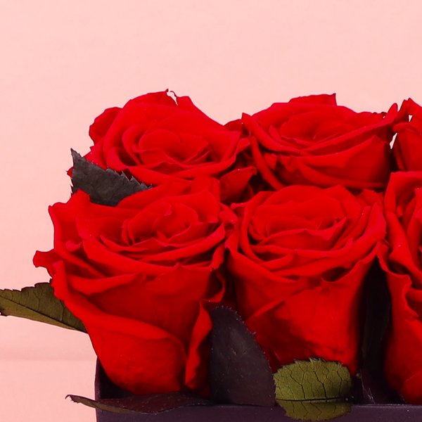 Rosas Encantadas e Parabéns pra Você