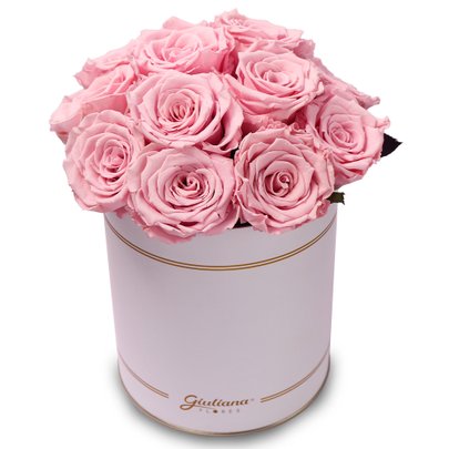 Rosas Encantadas Cor de Rosa Garbo