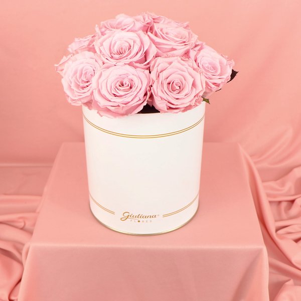 Rosas Encantadas Cor de Rosa Garbo