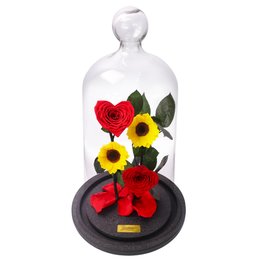 Imagem de Jardim das Rosas Coração e Girassol Encantadas