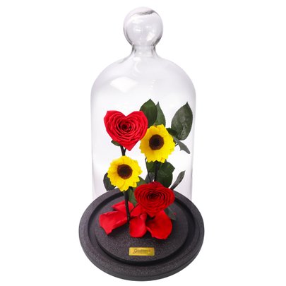 Jardim das Rosas Coração e Girassol Encantadas