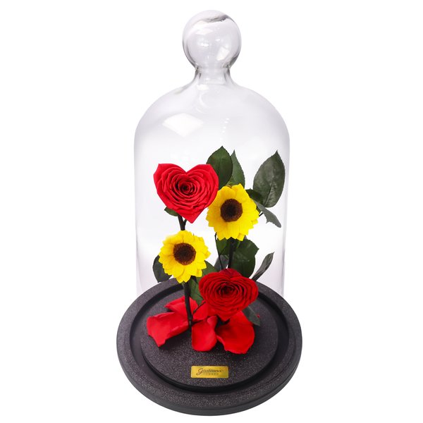 Jardim das Rosas Coração e Girassol Encantadas