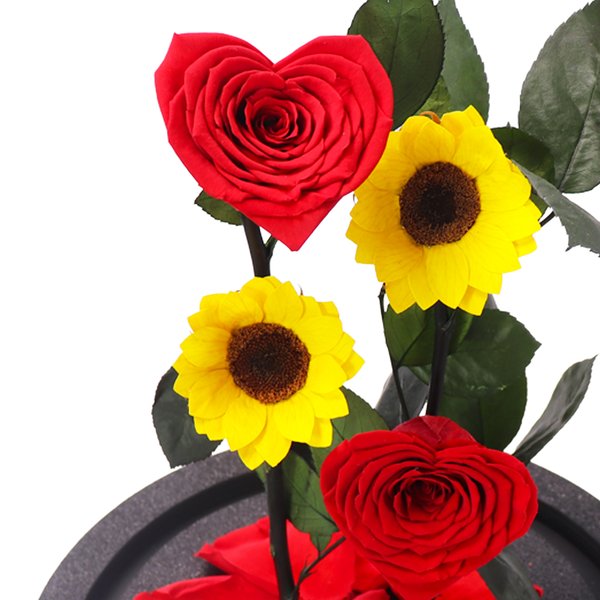 Jardim das Rosas Coração e Girassol Encantadas