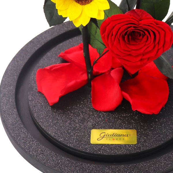 Jardim das Rosas Coração e Girassol Encantadas