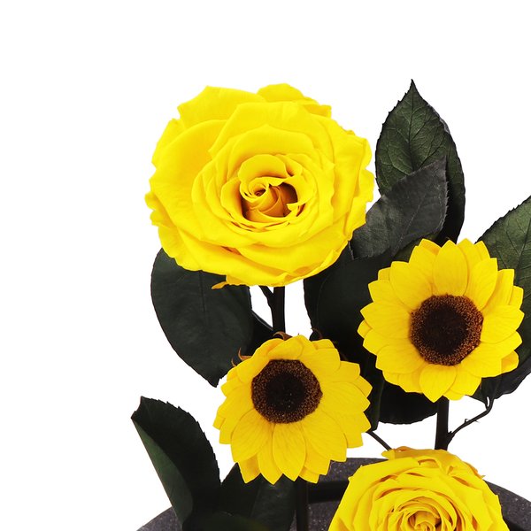 Jardim das Rosas Amarelas e Girassol Encantados