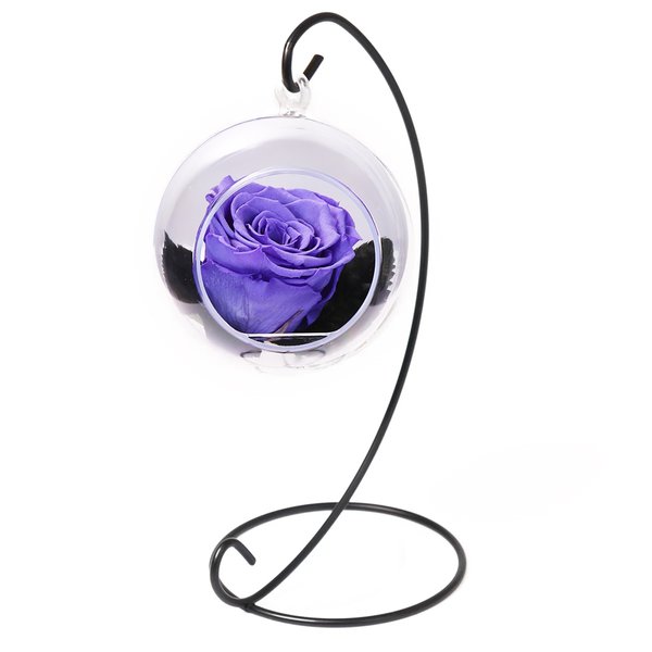Pêndulo de Rosa Encantada Lilás