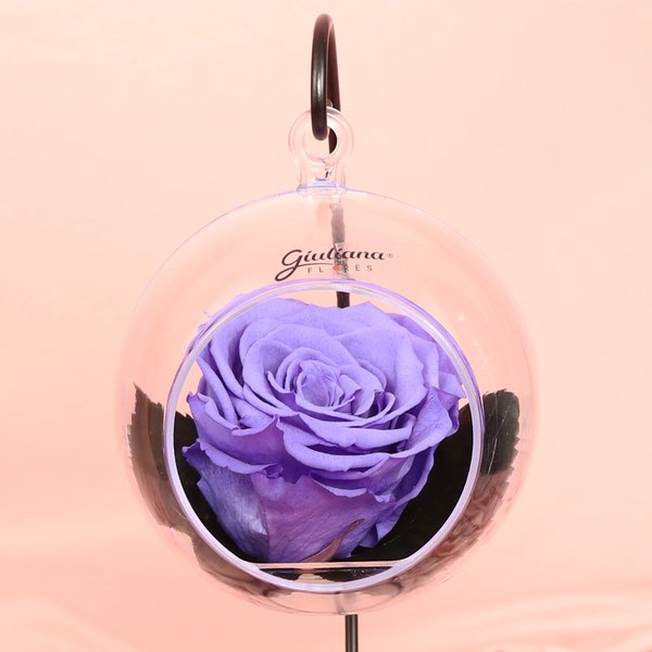 Pêndulo de Rosa Encantada Lilás