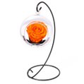 Pêndulo de Rosa Encantada Laranja