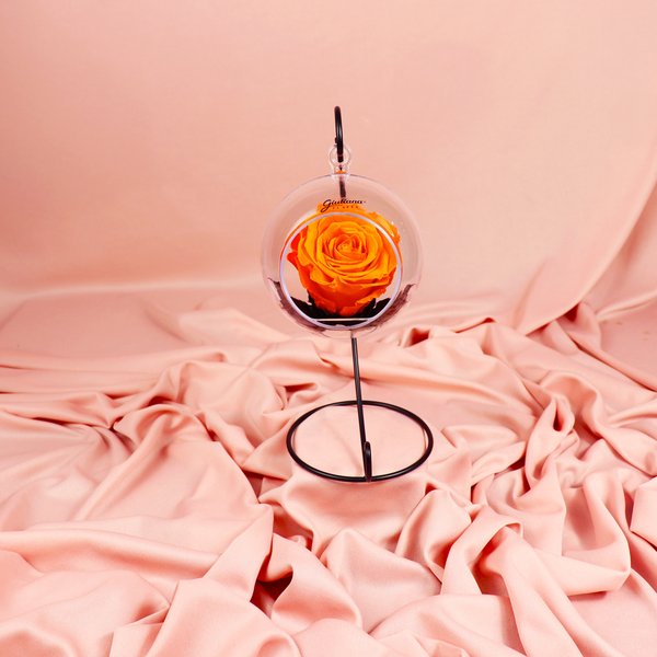 Pêndulo de Rosa Encantada Laranja