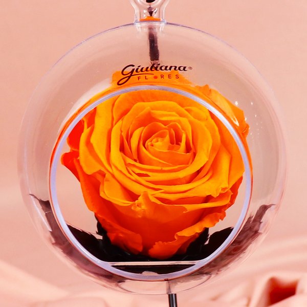 Pêndulo de Rosa Encantada Laranja
