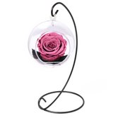 Pêndulo de Rosa Encantada Violeta