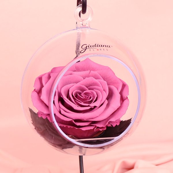 Pêndulo de Rosa Encantada Violeta