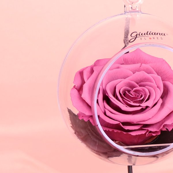 Pêndulo de Rosa Encantada Violeta