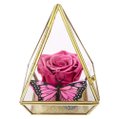 Pirâmide de Rosa Encantada Violeta