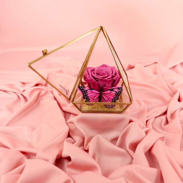 Pirâmide de Rosa Encantada Violeta