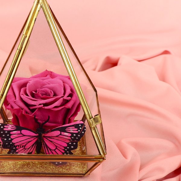 Pirâmide de Rosa Encantada Violeta
