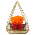 Pirâmide da Rosa Encantada Laranja