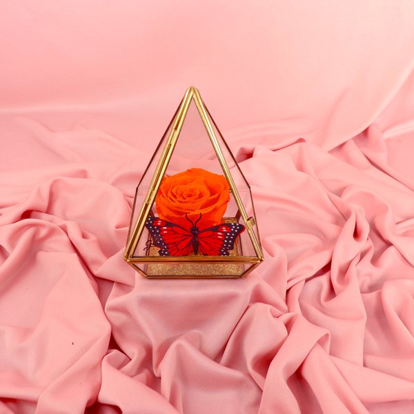Pirâmide da Rosa Encantada Laranja