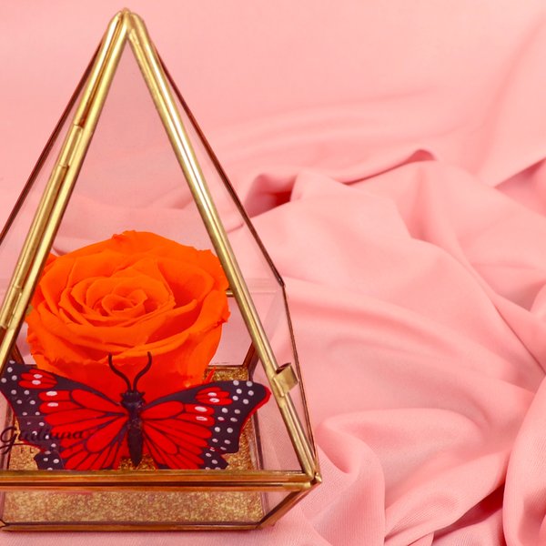 Pirâmide da Rosa Encantada Laranja