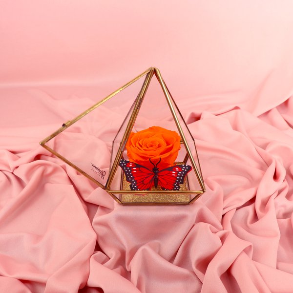 Pirâmide da Rosa Encantada Laranja