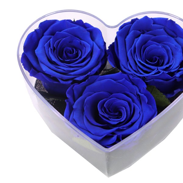 Box Crystal Coração com Rosas Encantadas Azul