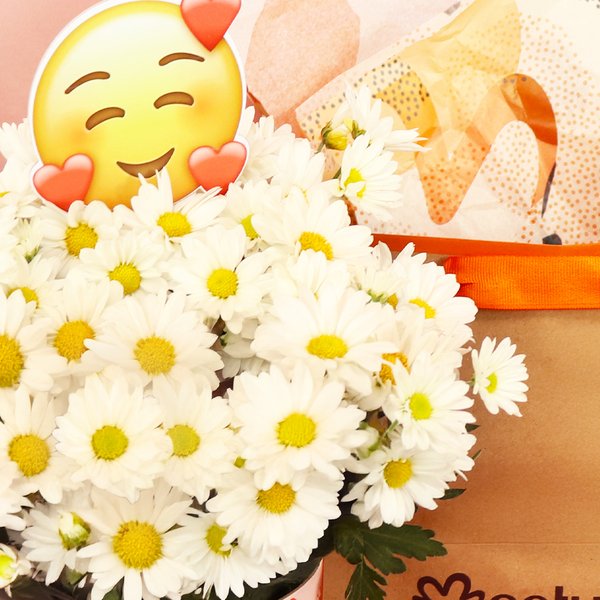 Margaridinha Branca e Placa Emoji Coração com Kit Humor Natura