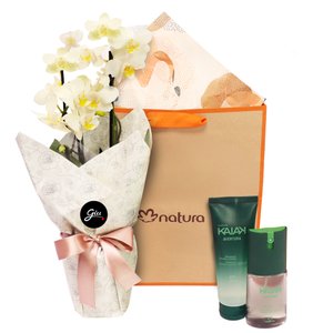Imagem de Mini Orquídea Mimo Branca e Presente Natura Kaiak