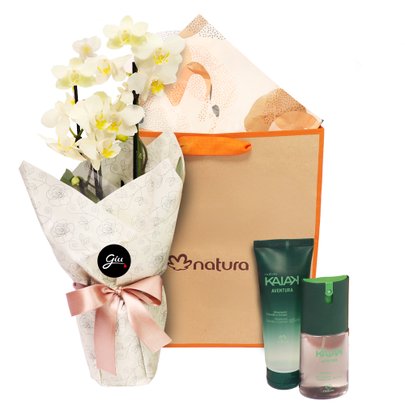 Mini Orquídea Mimo Branca e Presente Natura Kaiak