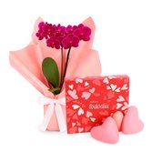 Mini Orquídea Rara Lilás Virtuosa e Presente Natura