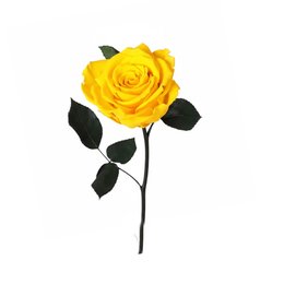 Imagem de Rosa Encantada Amarela Unitária