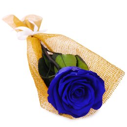 Imagem de Gentileza de Rosa Encantada Azul