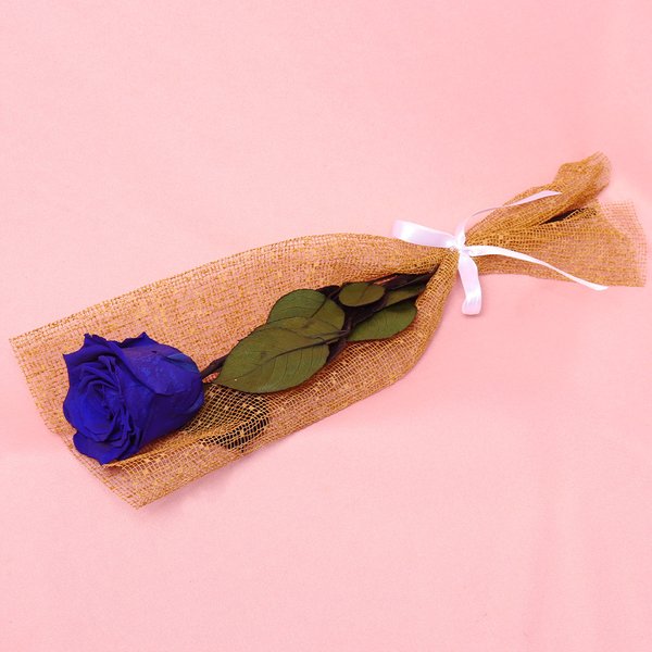 Gentileza de Rosa Encantada Azul